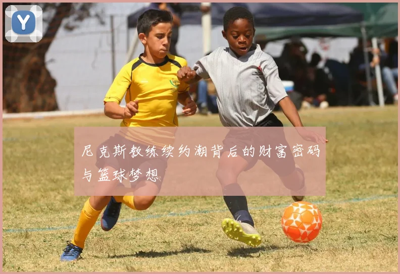 尼克斯教练续约潮背后的财富密码与篮球梦想
