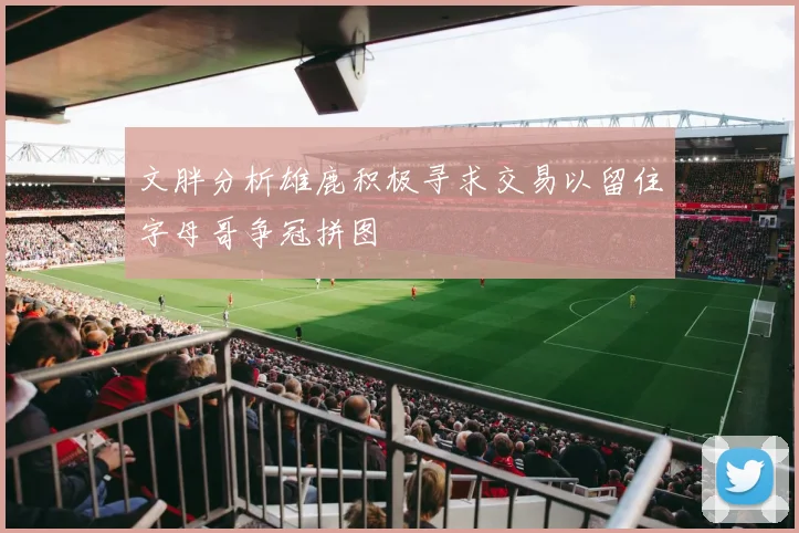 文胖分析雄鹿积极寻求交易以留住字母哥争冠拼图
