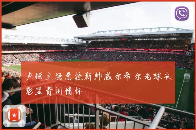 卢顿主场悬挂新帅威尔希尔老球衣彰显青训情怀