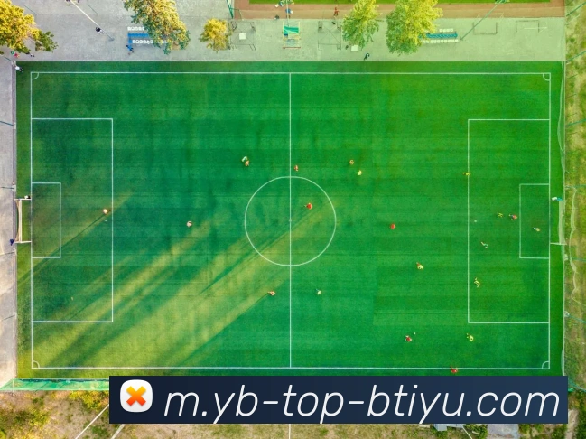 B体育平台生态图